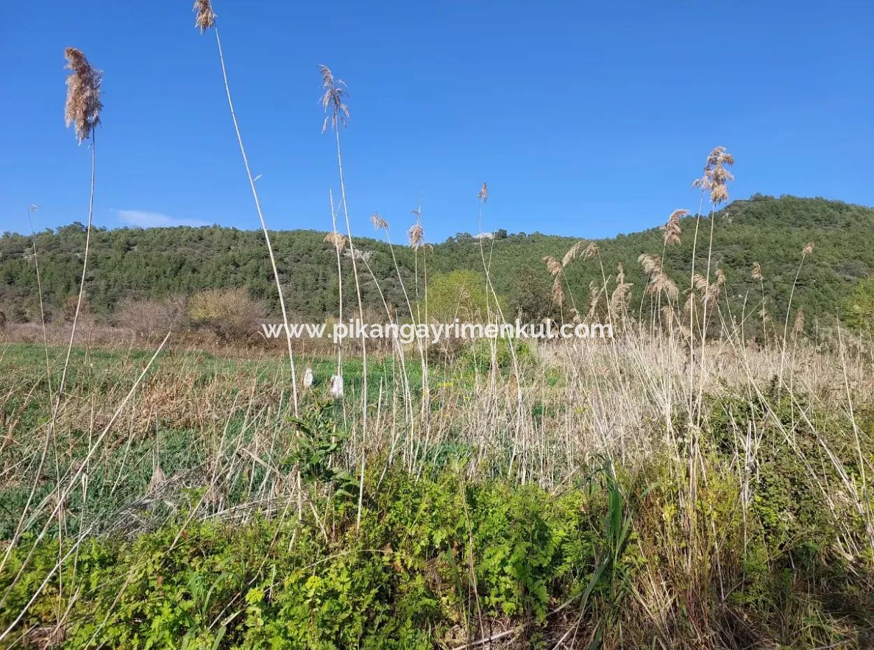 Fertile 6.350 M2 Land For Sale In Muğla Ortaca Güzelyurt