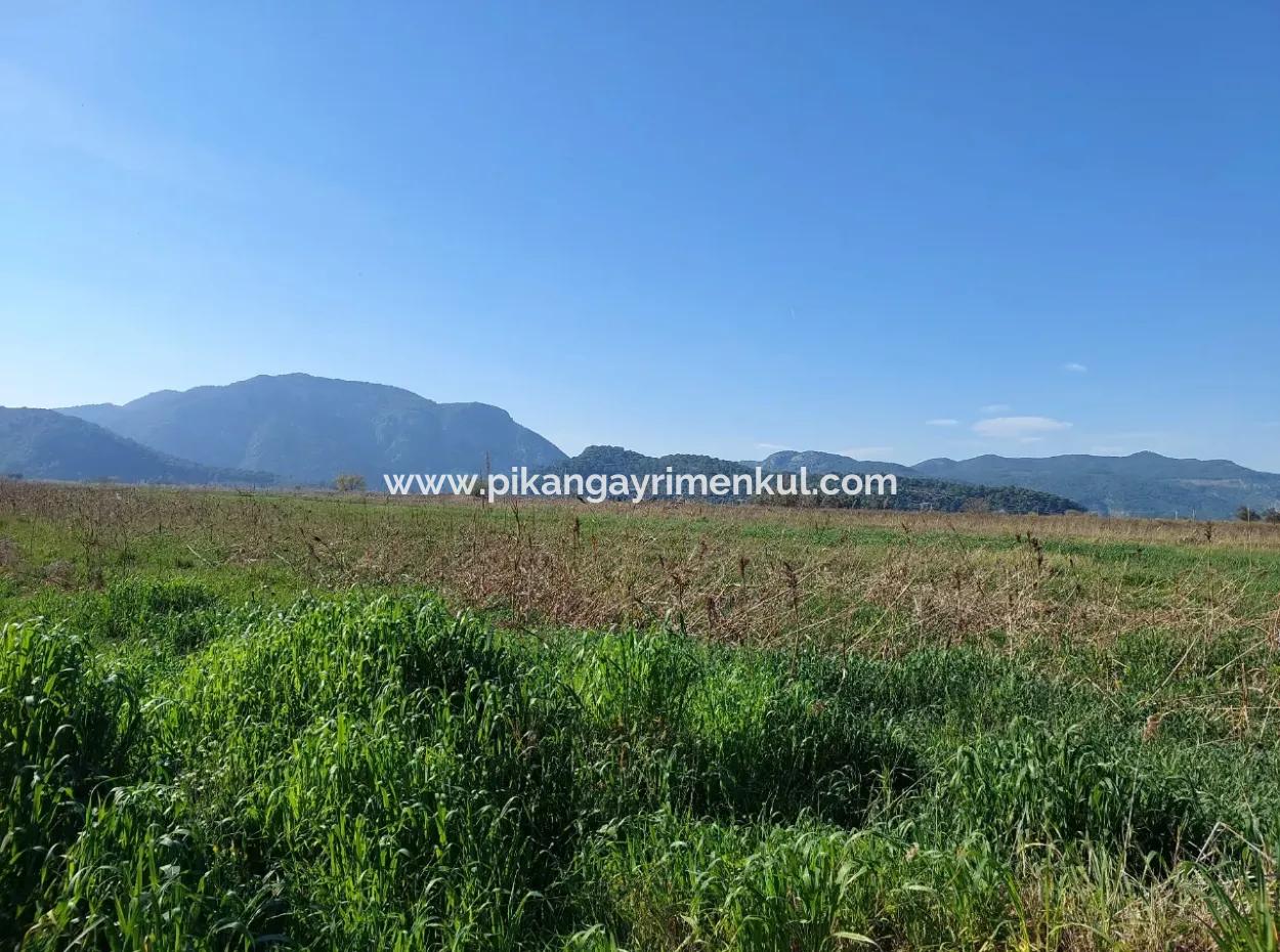 Fertile 6.350 M2 Land For Sale In Muğla Ortaca Güzelyurt