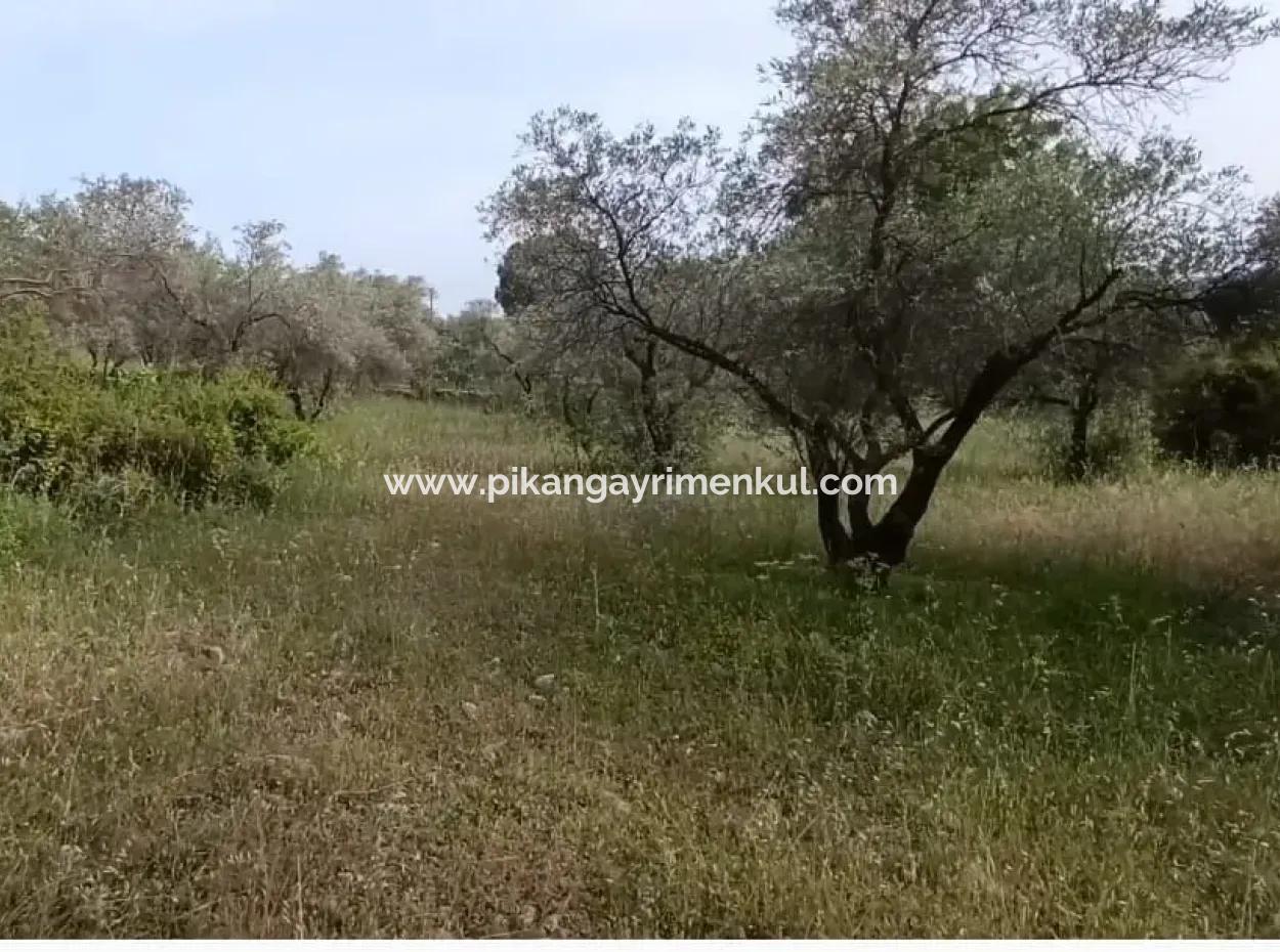 1228 M2 Land And Kargir House For Sale In Muğla Menteşe Yaraş, Village In Village.   