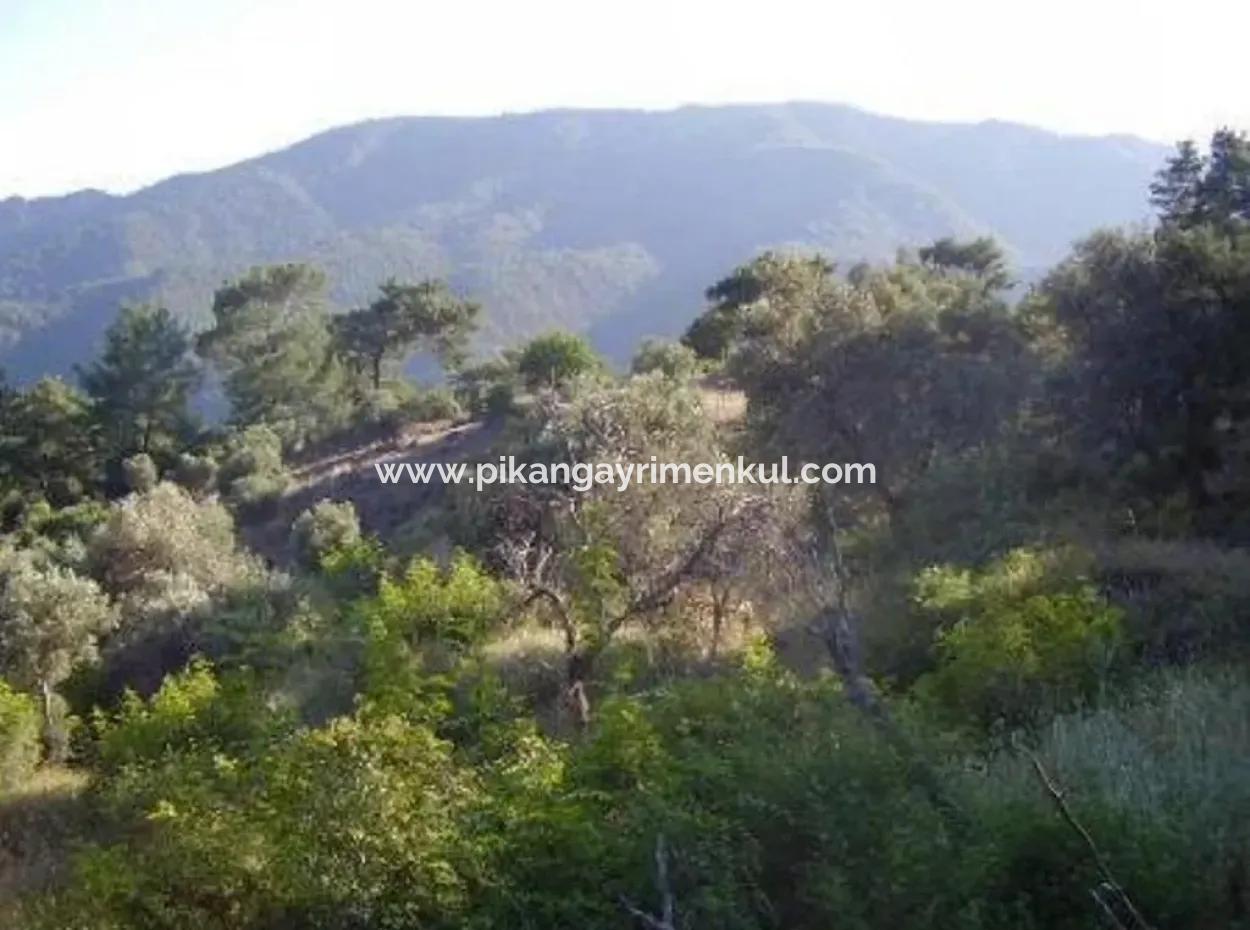12.926 N2 Sea View Land For Sale In Köyceğiz Ekincik