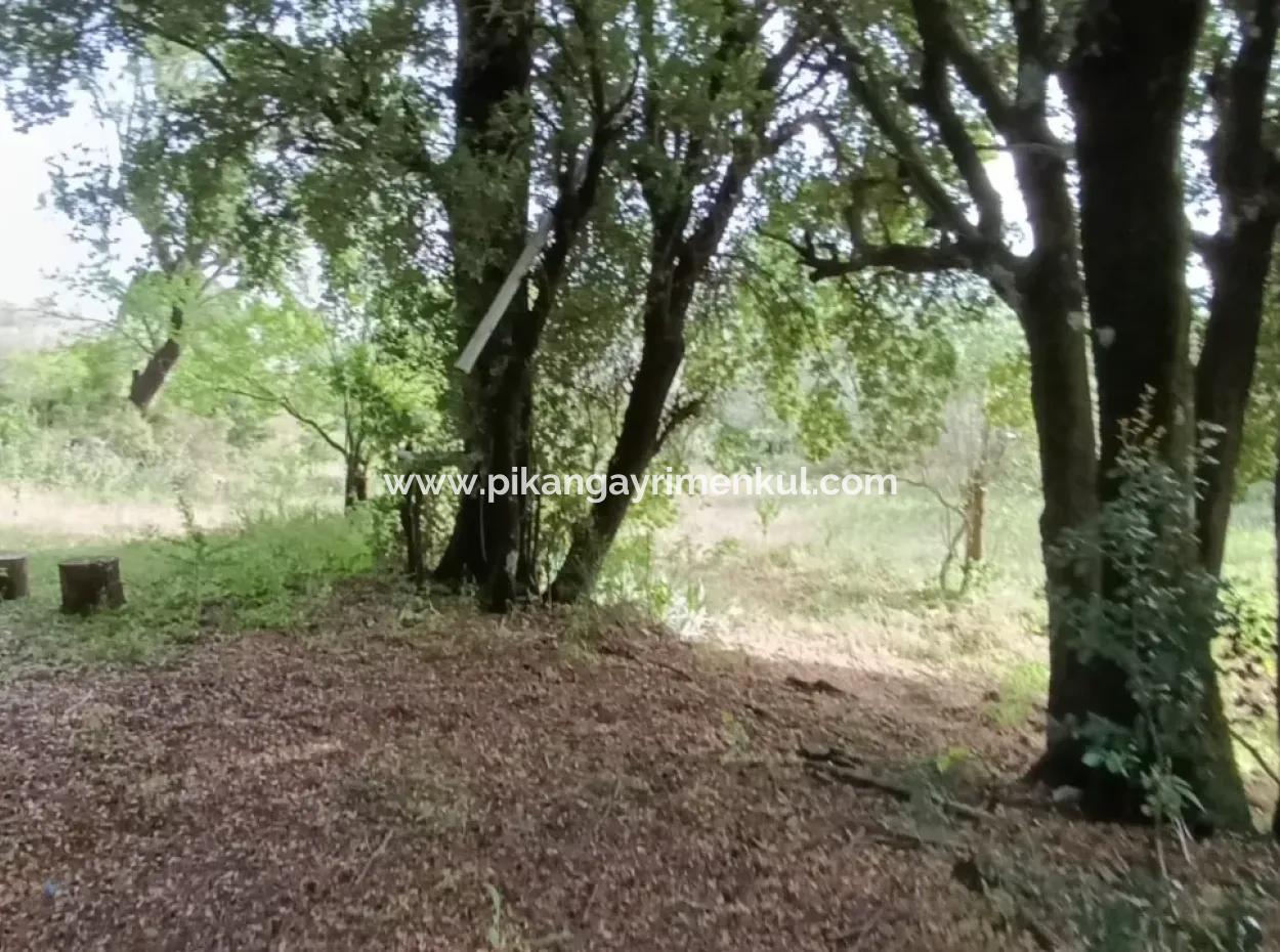 1228 M2 Land And Kargir House For Sale In Muğla Menteşe Yaraş, Village In Village.   