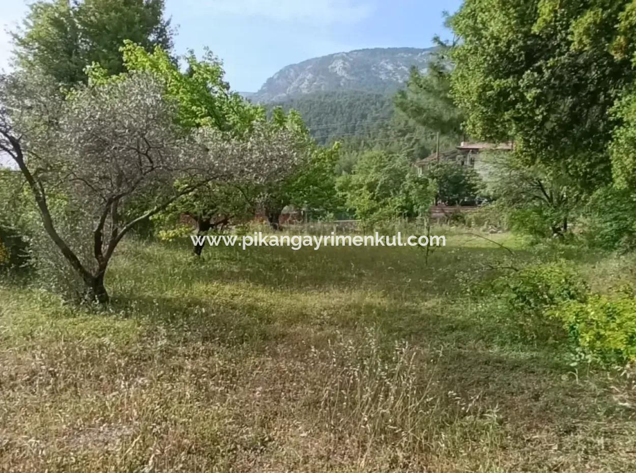 1228 M2 Land And Kargir House For Sale In Muğla Menteşe Yaraş, Village In Village.   