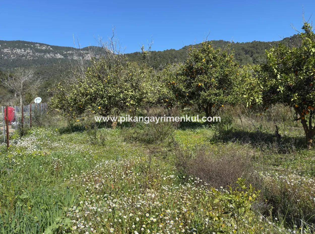 1000 M2 Land For Sale In Köyceğiz Çandır