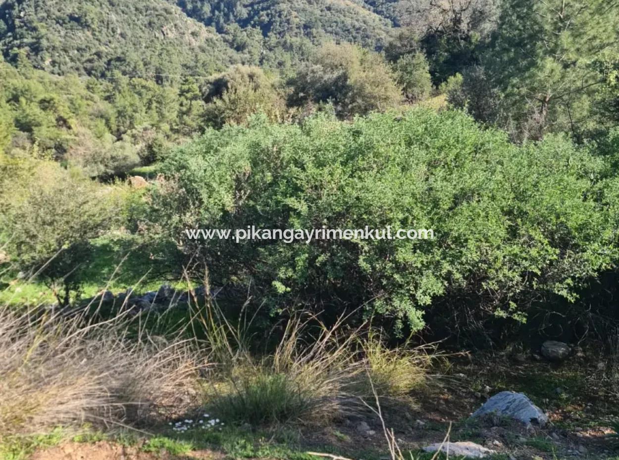 15.000 M² Detached Land For Sale In Fethiye İnlice