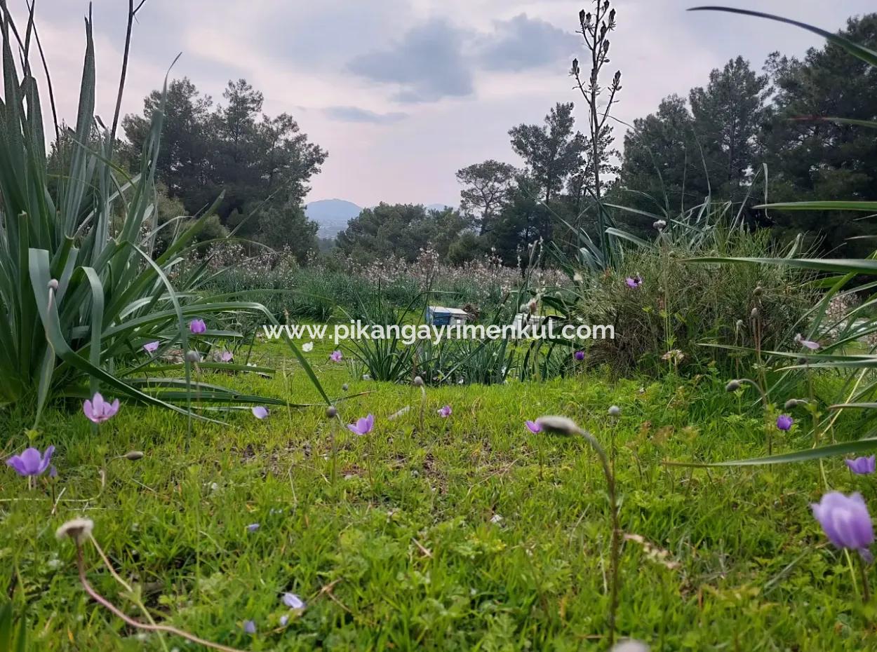 3.500 M2 Detached Land With Sea View For Sale In Dalaman Gürköy