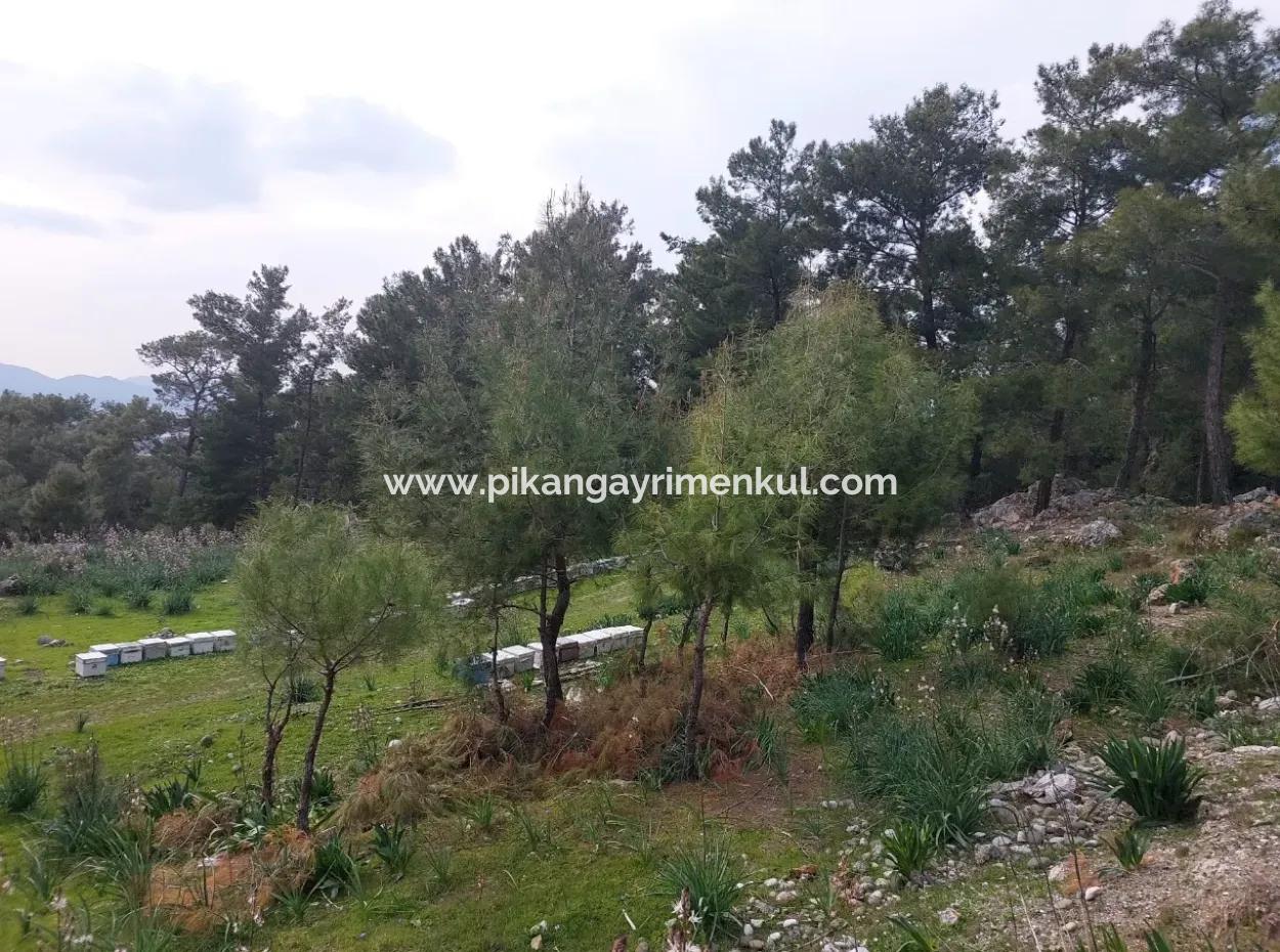 3.500 M2 Detached Land With Sea View For Sale In Dalaman Gürköy