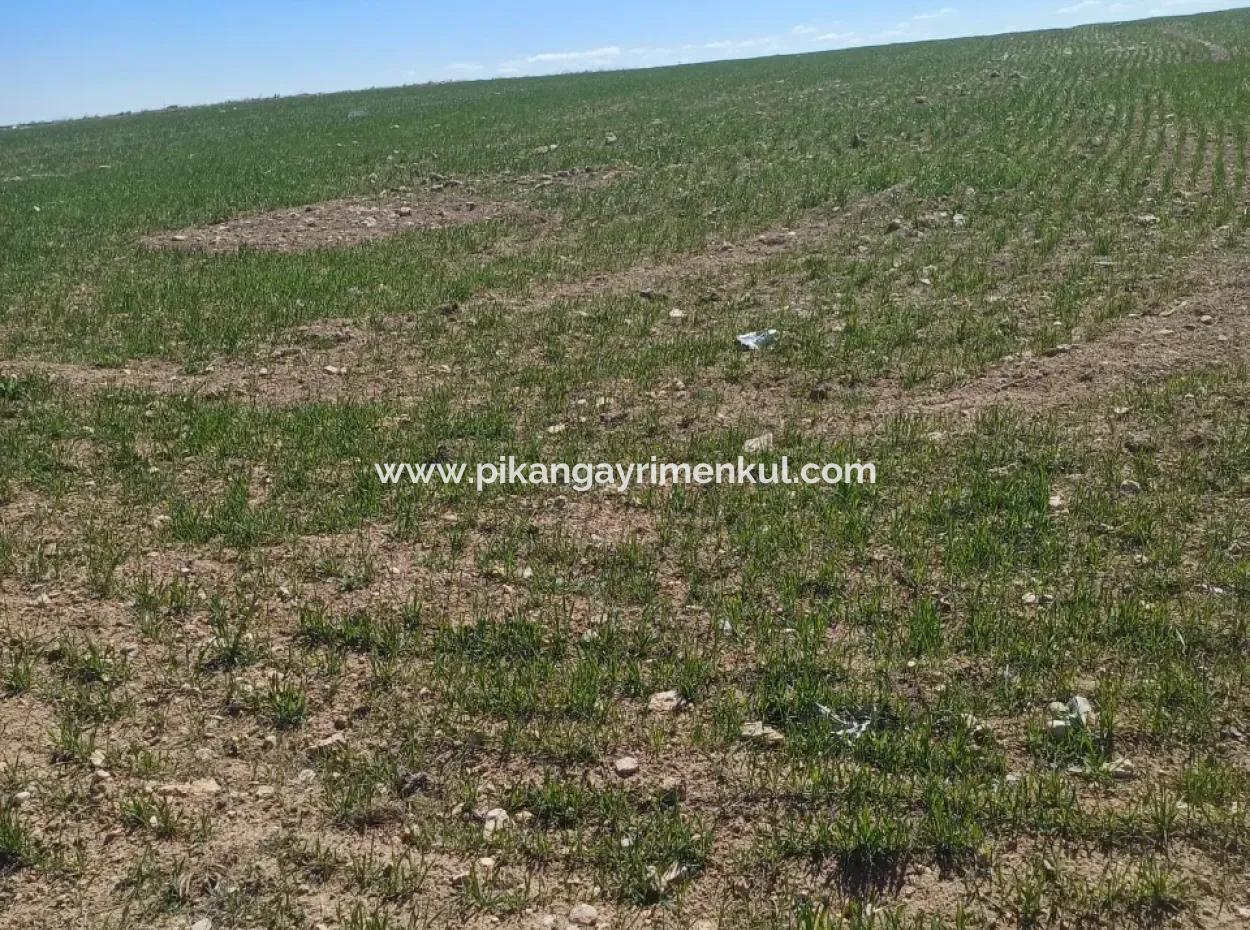 Konya Kadinhani Baskuyu 650.000 M2 Bargain Land For Sale