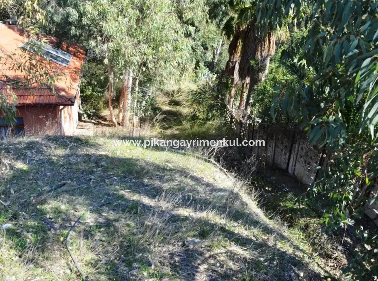 6 165 M2, 18 Villa Zoned Land Suitable For Mass Housing In Dalaman Will Be Given In Return For Floors