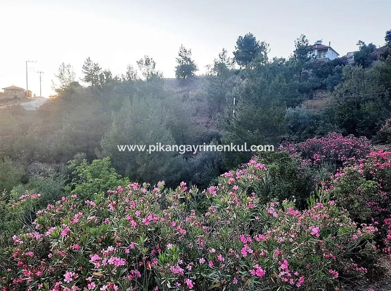 238 M2 Hobby Garden Land With Detached Title Deed For Sale In Muğla Ortaca Gökbel