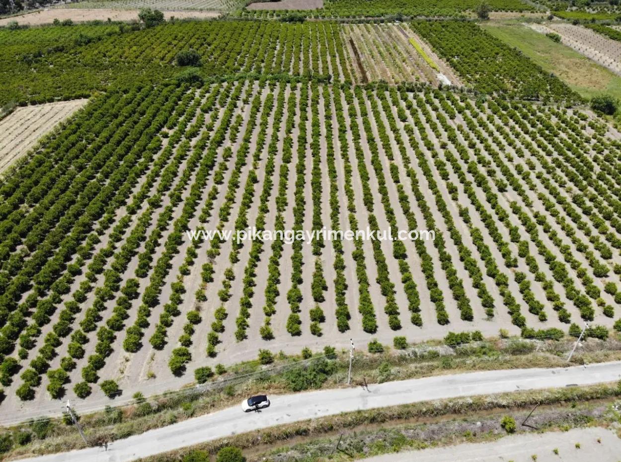 13 500 M2 Field For Sale In Ortaca Mergenli