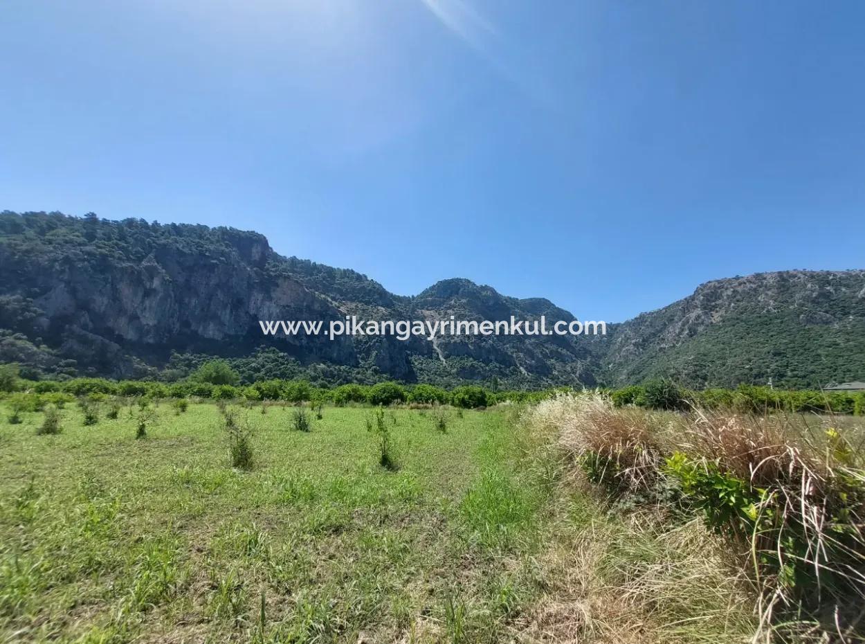 Land For Sale In Muğla Marmarlı In 5 800 M2 Zoning Plan Suitable For Investment