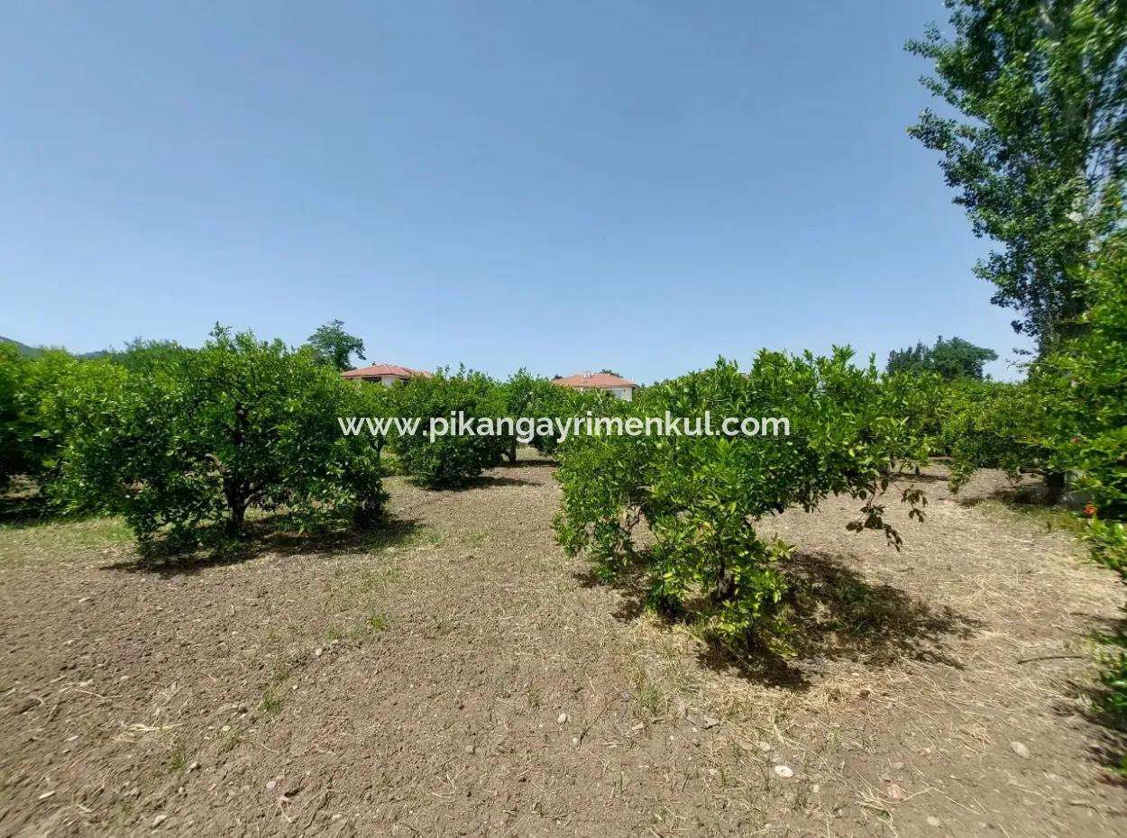 500 M2 Land With Rızai Partition In Ortaca Kemaliye For Emergency Sale