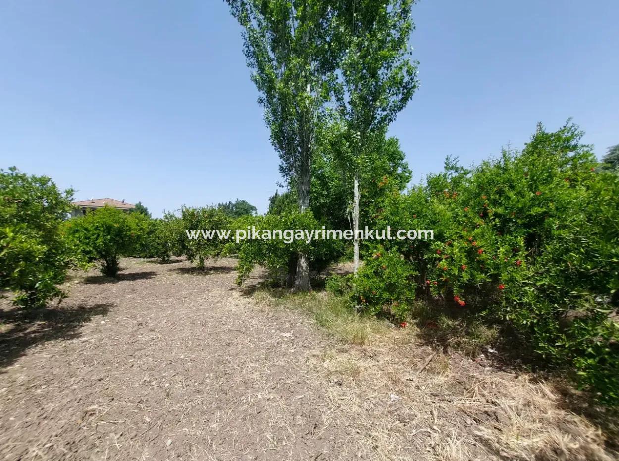 500 M2 Land With Rızai Partition In Ortaca Kemaliye For Emergency Sale