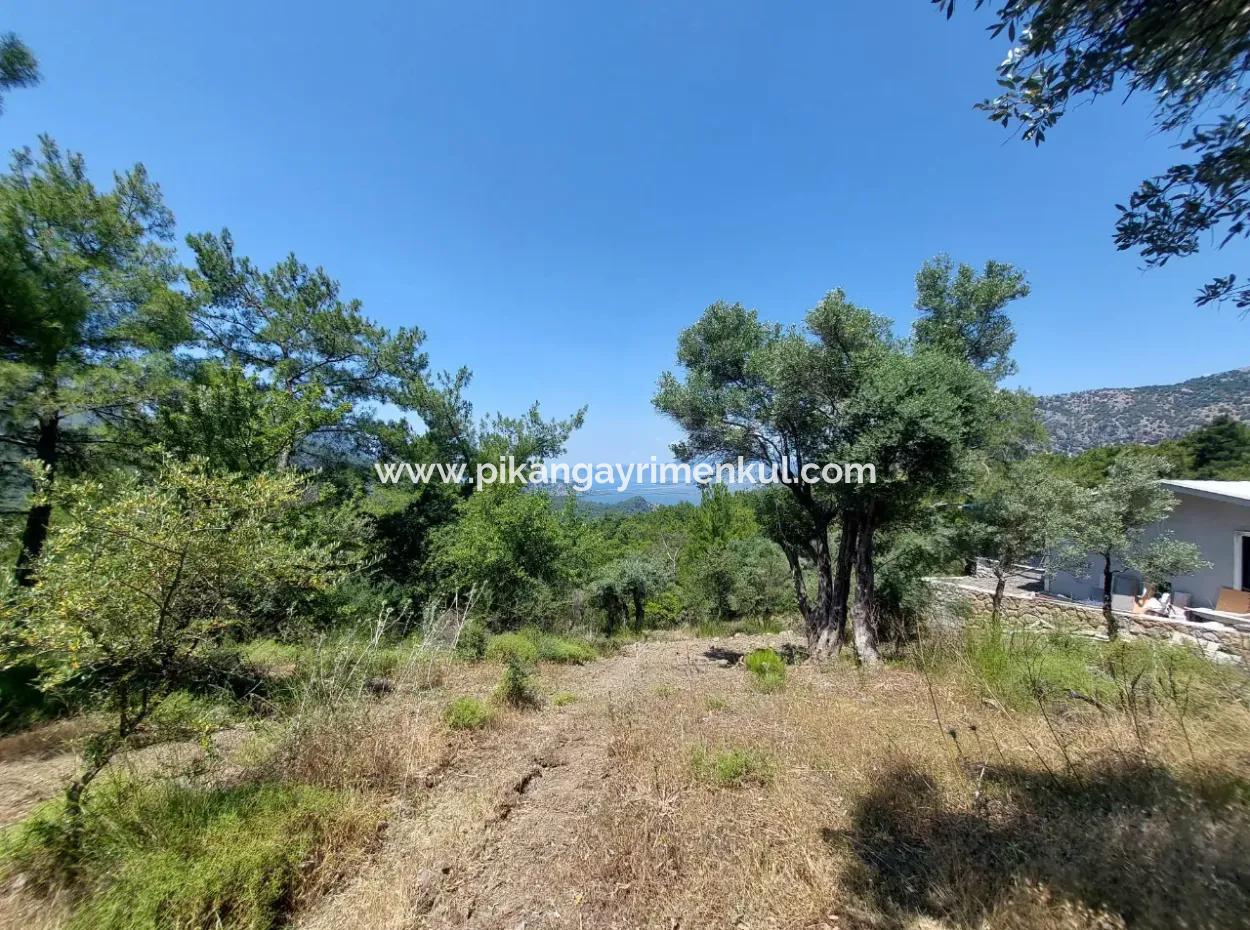 1.000 M² Investment Land With Lake And Sea View In Muğla Ortaca Gökbel For Sale ????