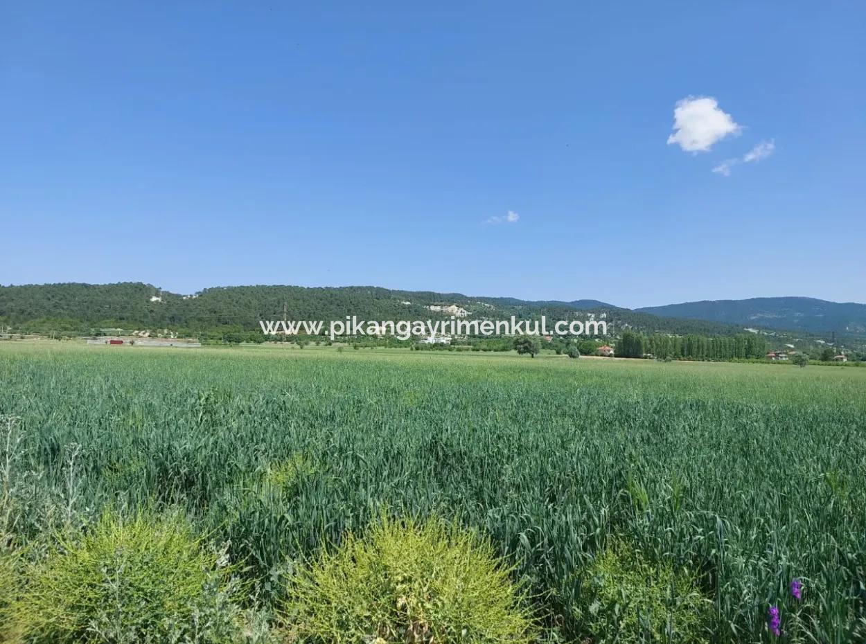 Bargain Land For Sale In Çameli Bıçakçı – 5.333 M² Detached Title Deed