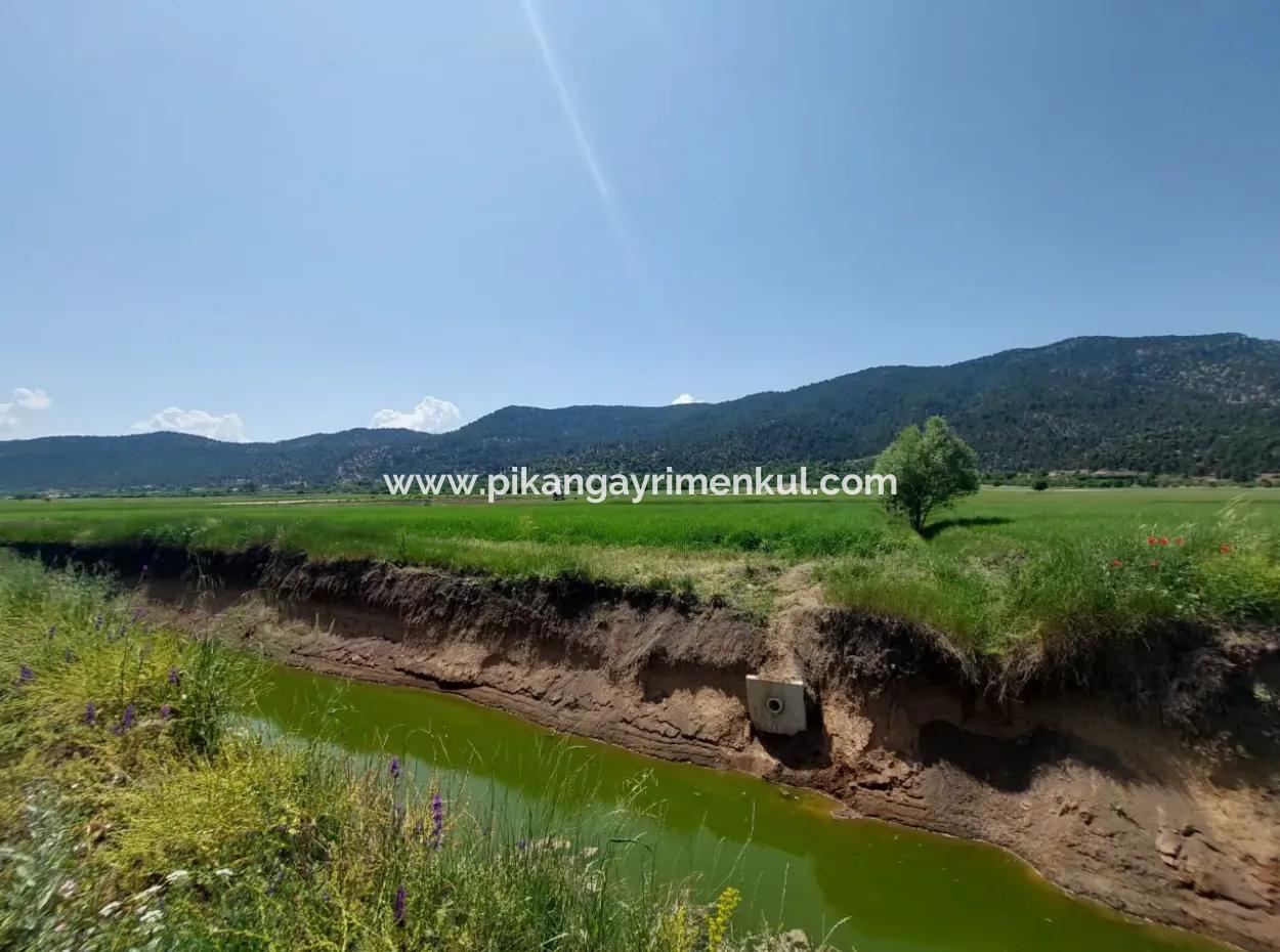 Bargain Land For Sale In Çameli Bıçakçı 5,333 M2 Detached Title Deed For Sale