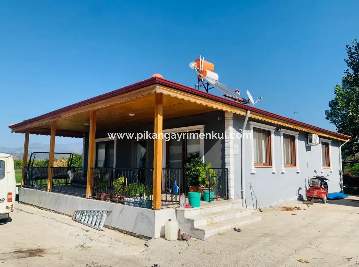 5400 M2 Ready-Made Farm For Sale In Ortaca Arıkbaşı