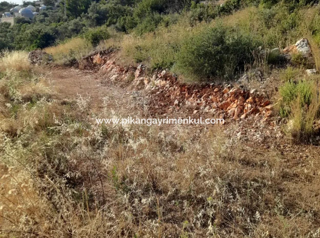 12 300 M2 Land Suitable For Investment For Sale In Antalya Kaş Kalkan Islam
