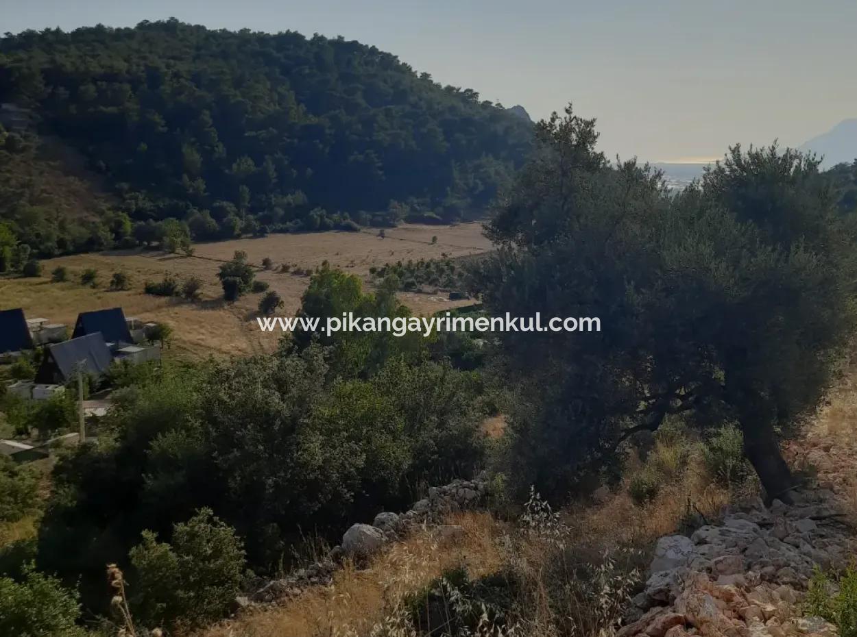 12 300 M2 Land Suitable For Investment For Sale In Antalya Kaş Kalkan Islam