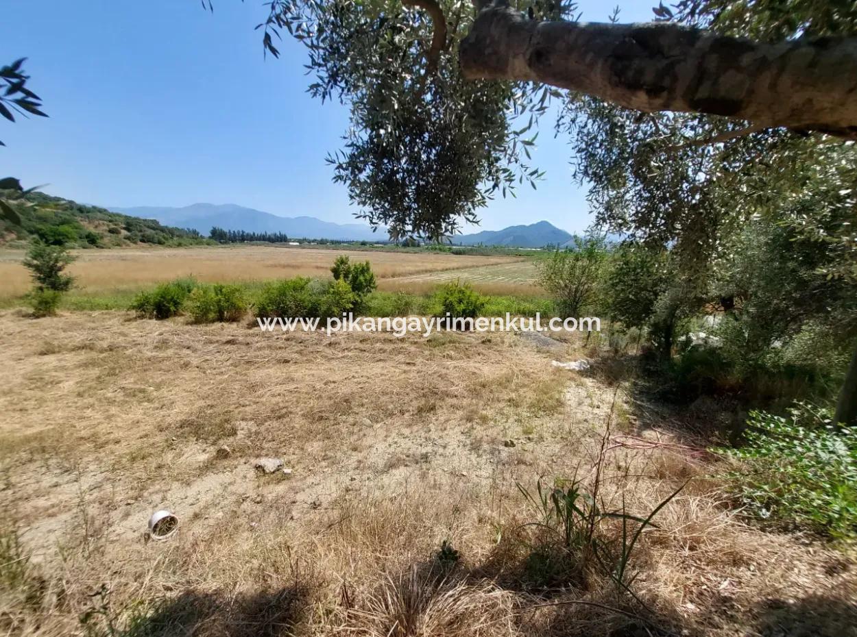 For Sale With A Numbered Building On 2.500M2 Treasury Land In Ortaca Eskiköy