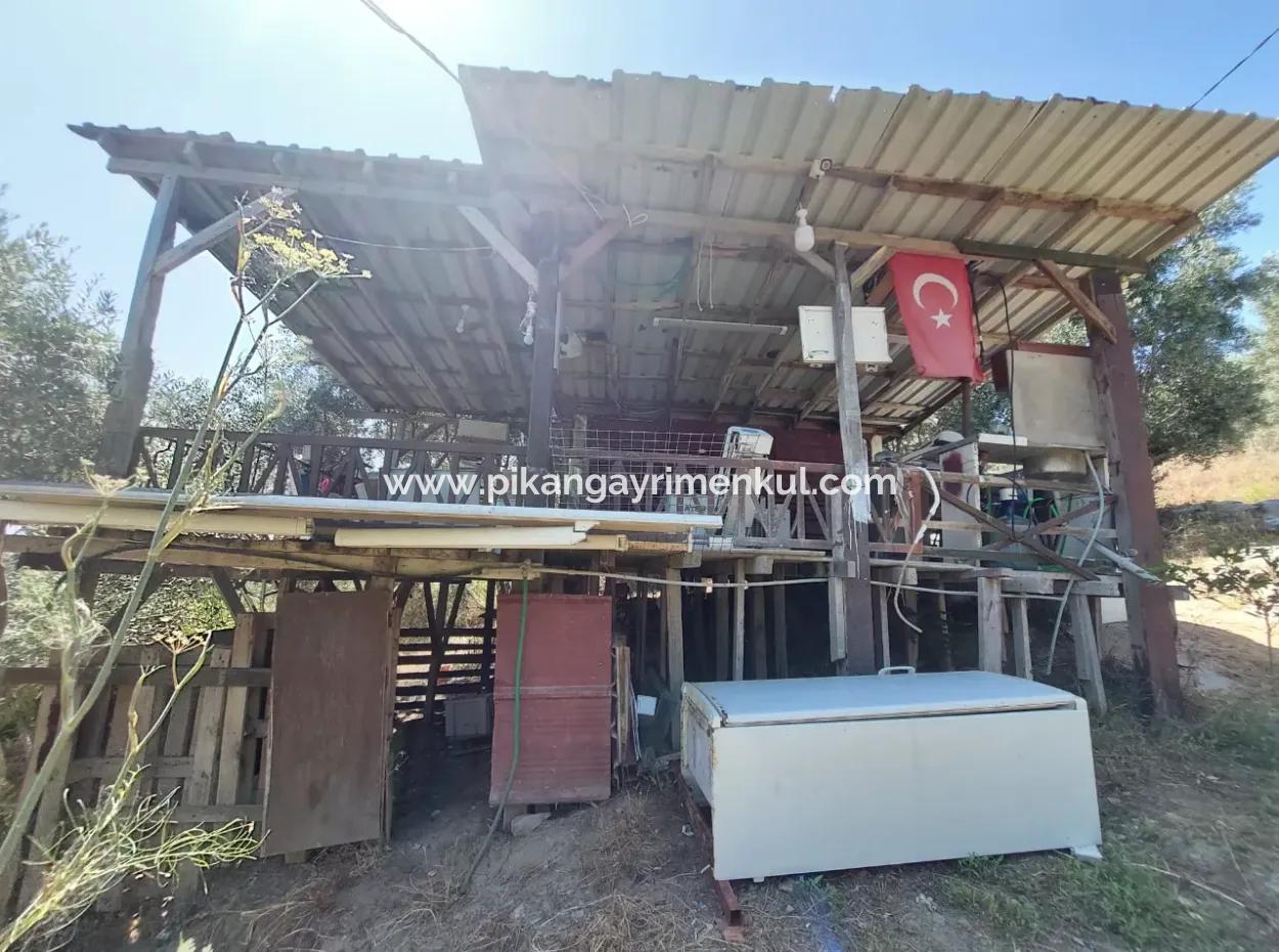 For Sale With A Numbered Building On 2.500M2 Treasury Land In Ortaca Eskiköy