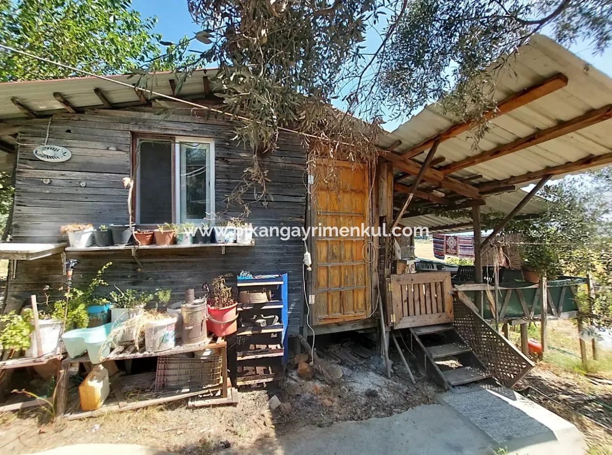 For Sale With A Numbered Building On 2.500M2 Treasury Land In Ortaca Eskiköy