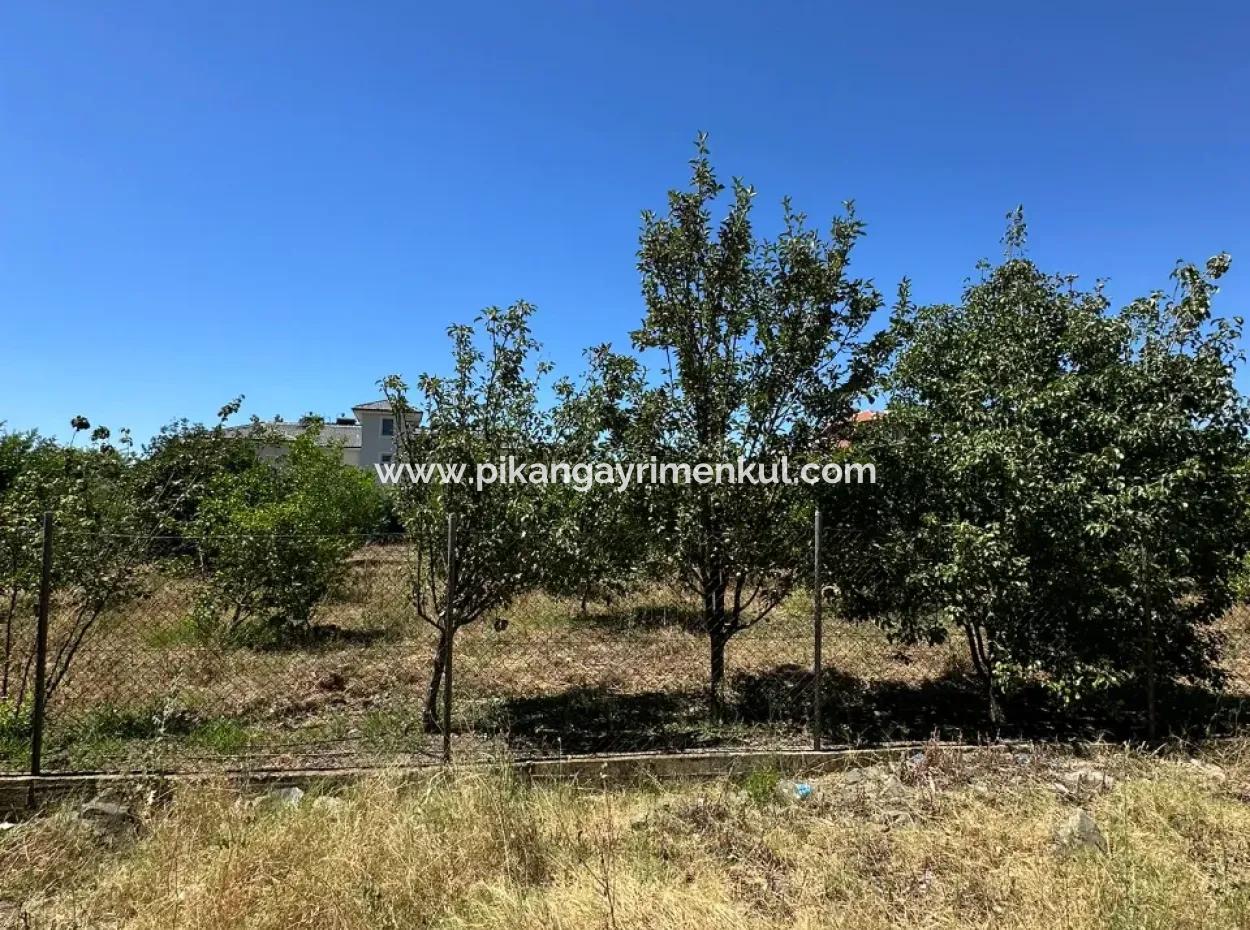 650 M2 30% Zoned Land For Sale In Ortaca Center