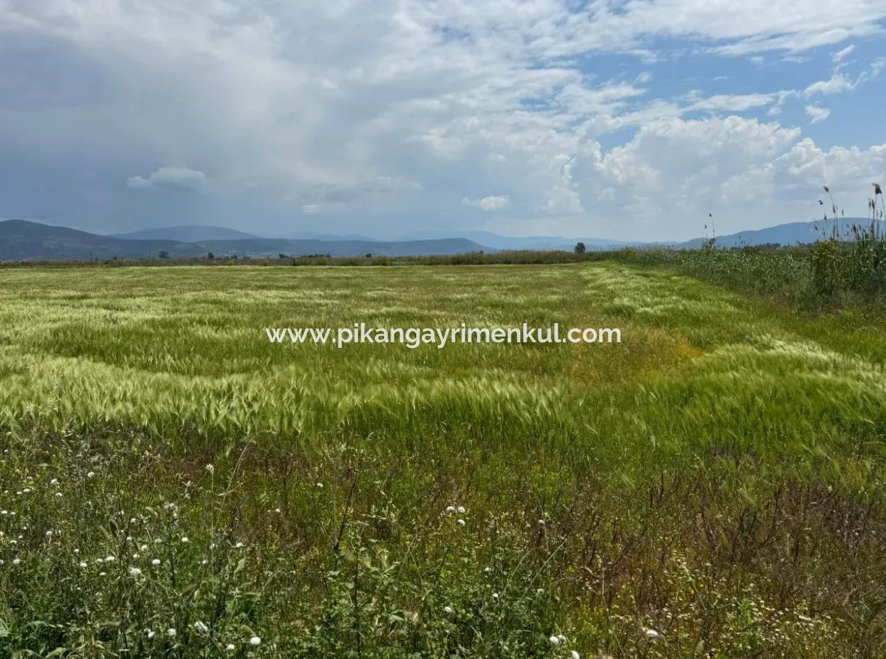 Milas Avşar 27.216 M2 Flat Data Detached Land For Urgent Sale, Open To Offer