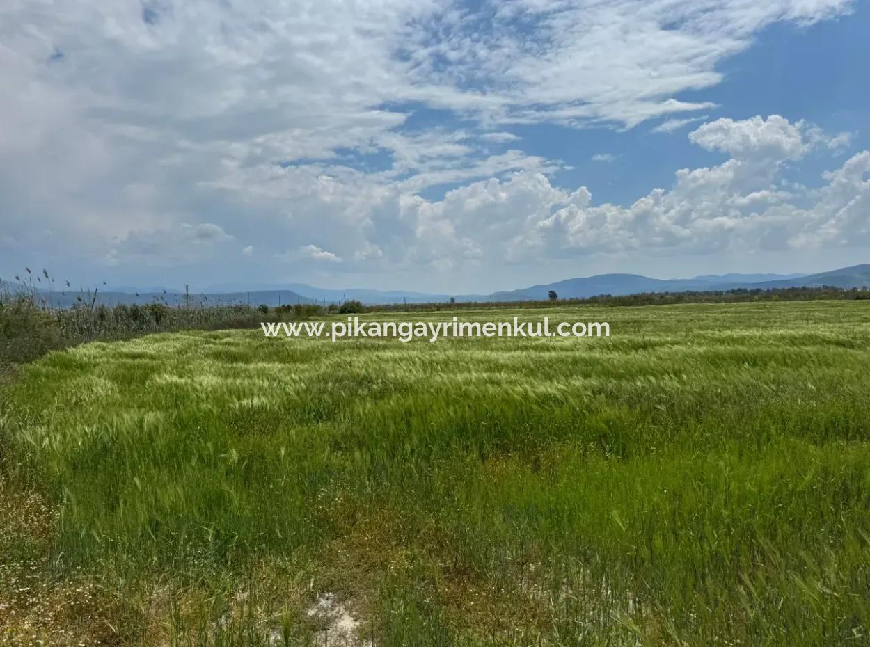 Milas Avşar 27.216 M2 Flat Data Detached Land For Urgent Sale, Open To Offer