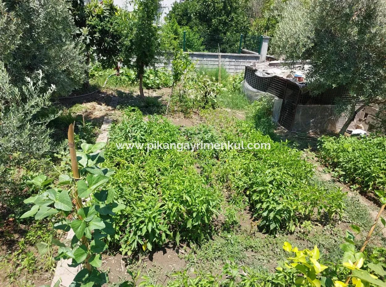 2 Units 2 1 Apartments With Garden And Detached Land For Sale In Dalaman Altıntaş!