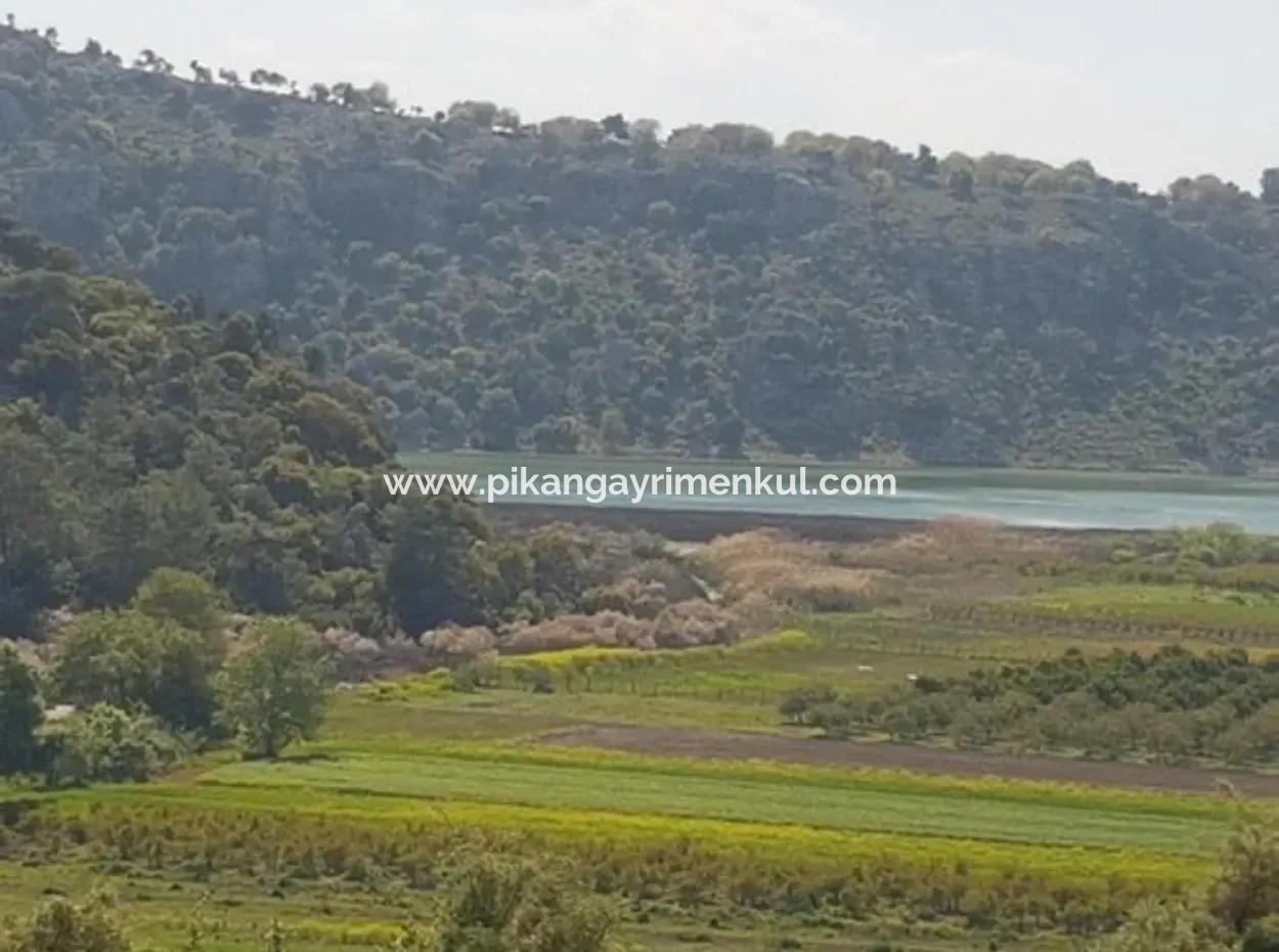 Lake-Zero Treasury Land In Muğla Dalaman Kapıkargın – Possession Will Be Transferred 