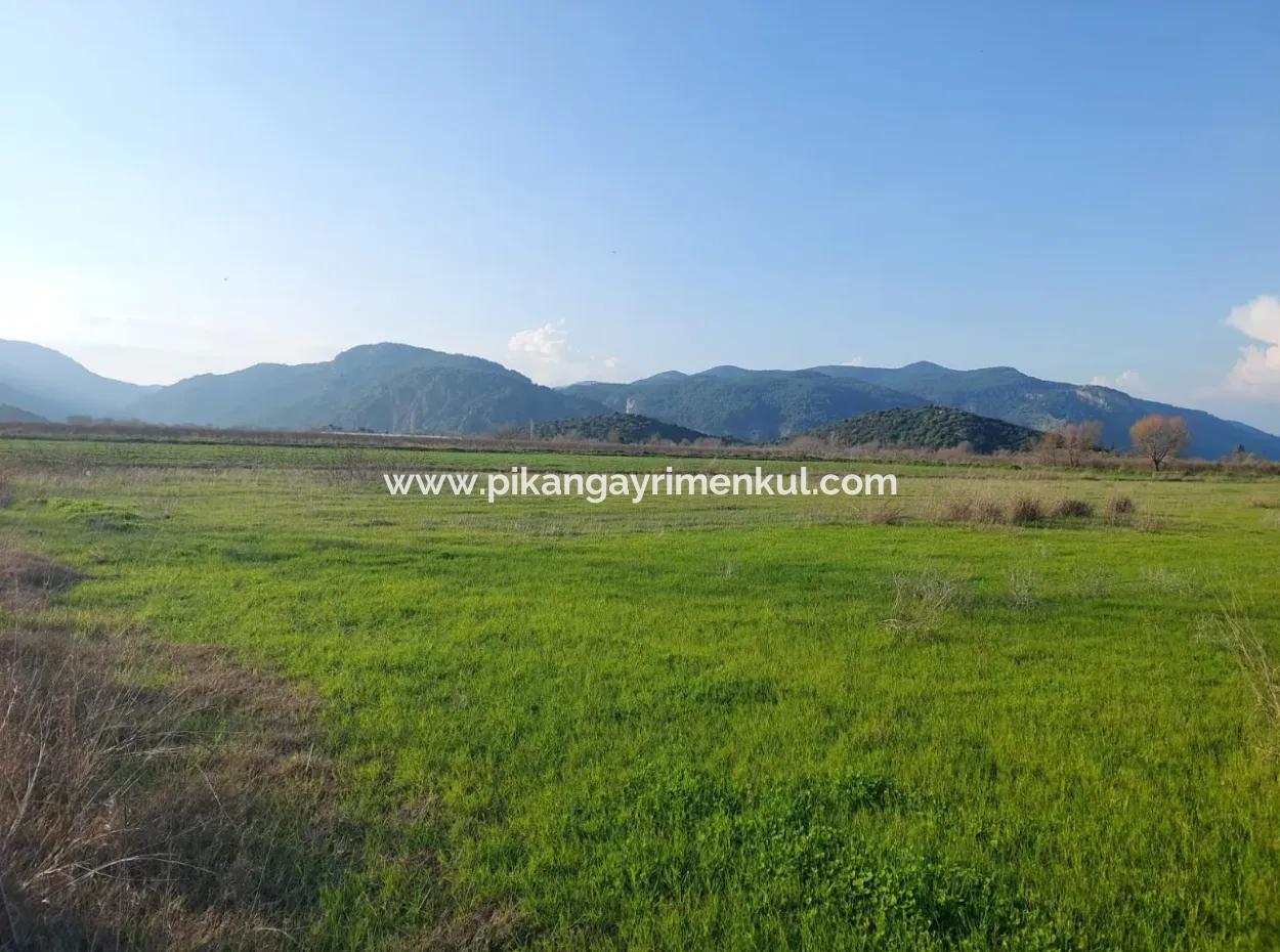 14.500 M² Fertile Land In Ortaca Güzelyurt For Long-Term Rental – Suitable For Animal Husbandry