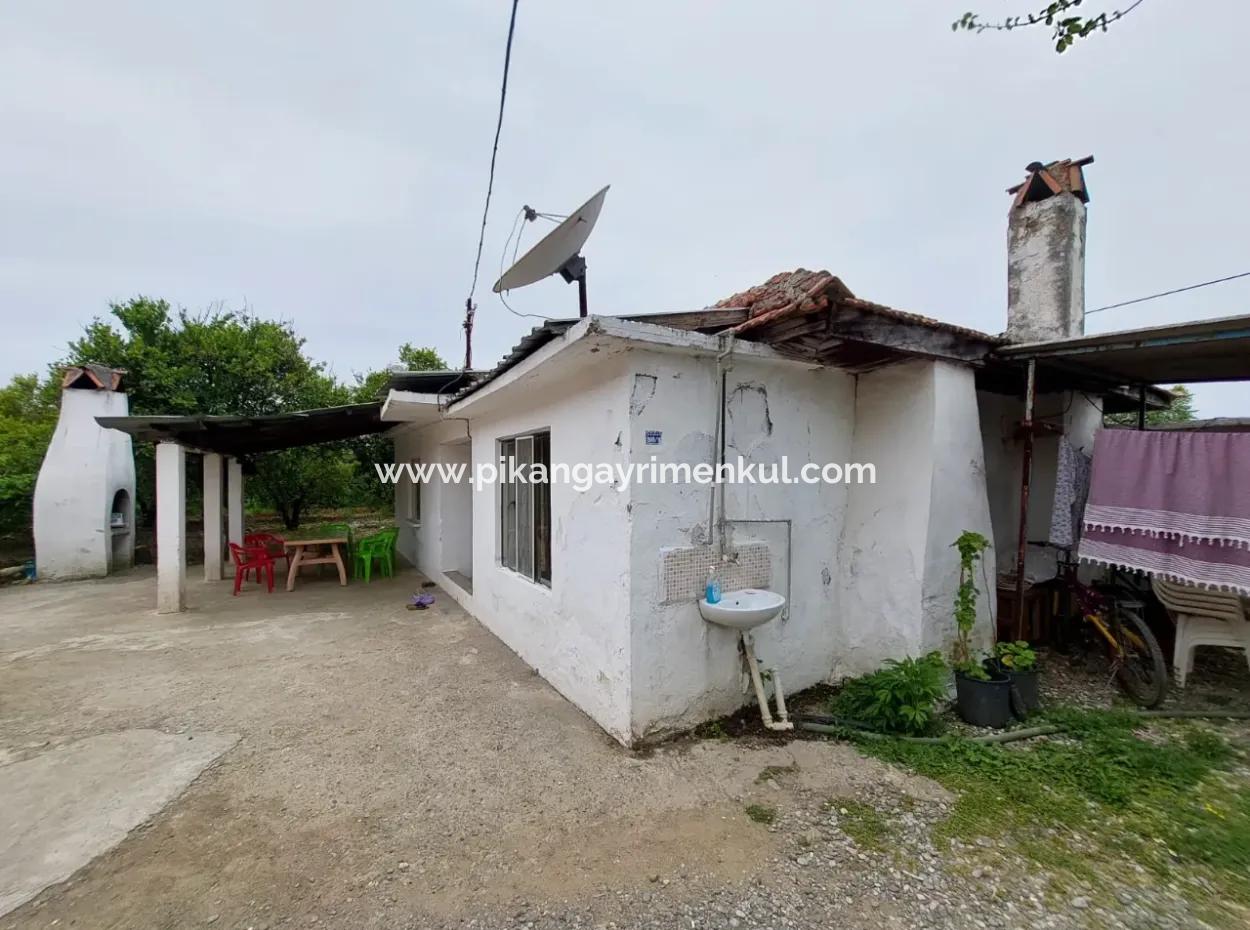 Village House And Farm For Sale On 6.650 M² Fertile Land In Muğla Köyceğiz Poplar