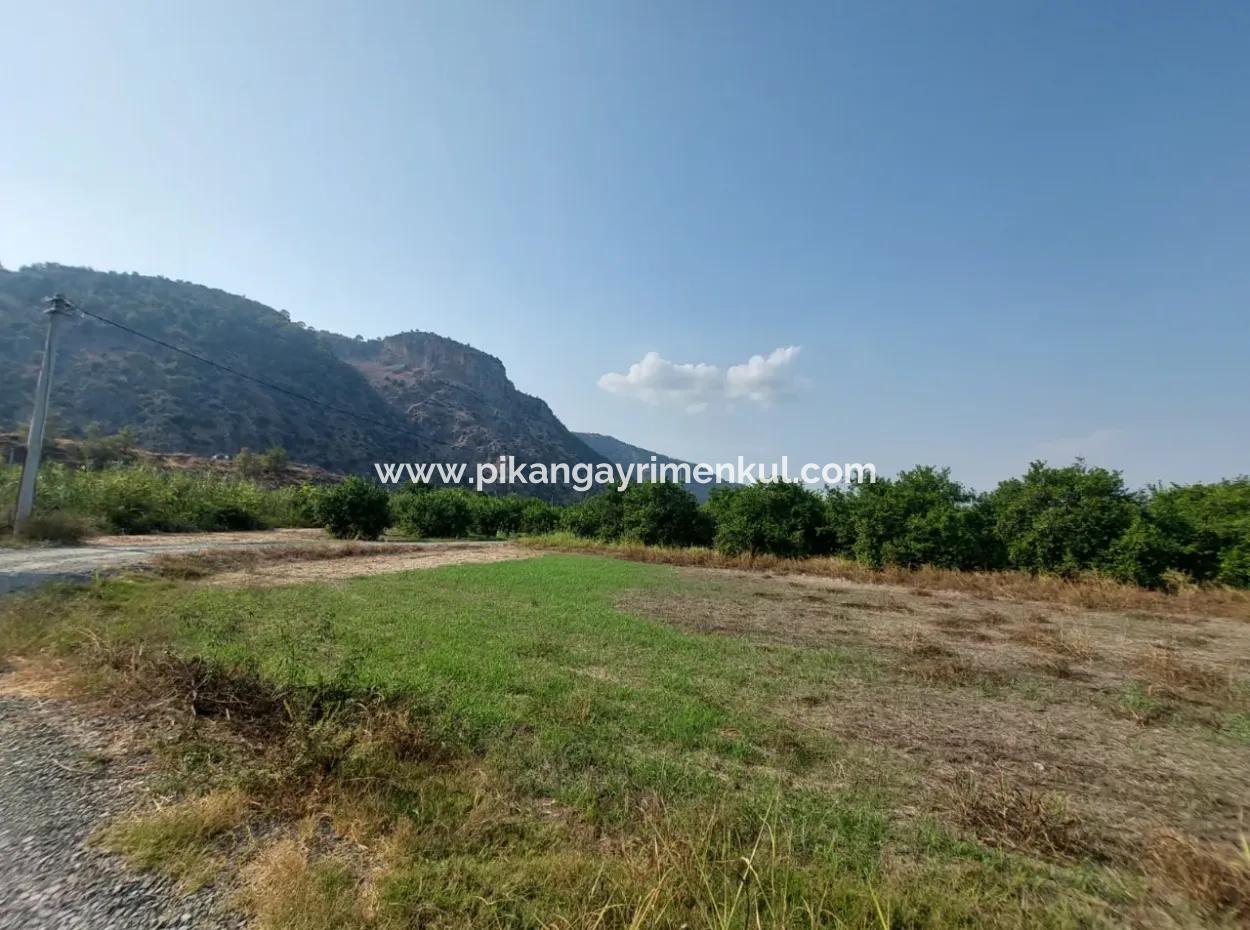 4.500 M² Well-Kept Lemon Garden For Sale In Ortaca Karadonlar