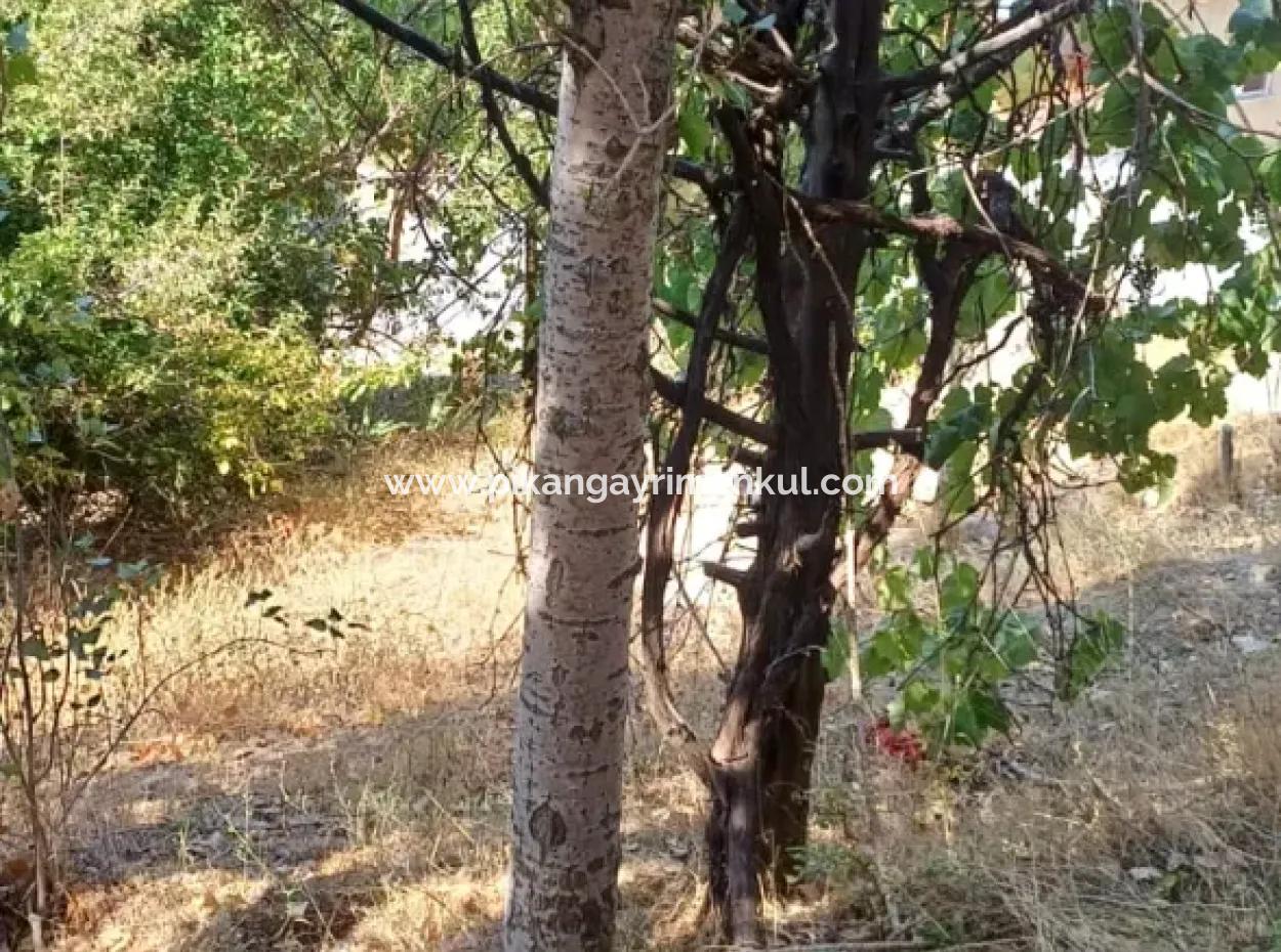 2 Storey Stone House For Sale On 750 M² Land In Denizli Çameli Gökçeyaka