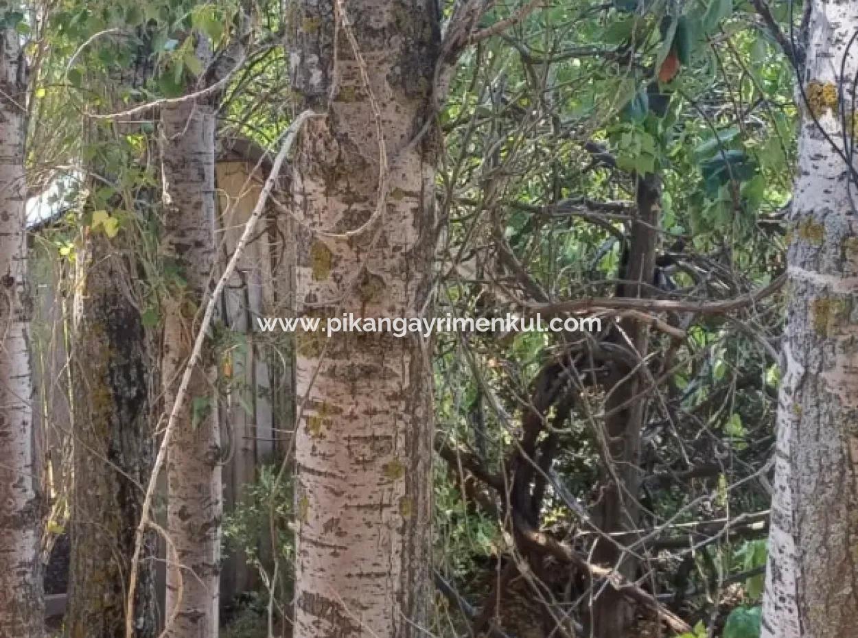 2 Storey Stone House For Sale On 750 M² Land In Denizli Çameli Gökçeyaka