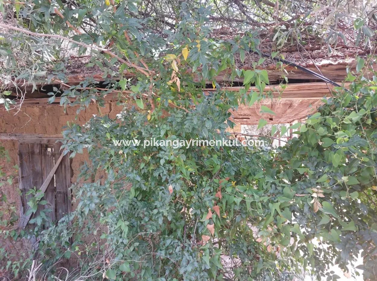 Village House With Lake View And Olive Grove Land For Sale In Köyceğiz Çandır, Muğla