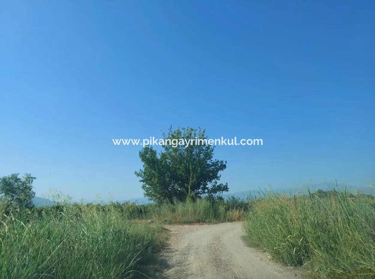 73,500 M² Pomegranate Garden Suitable For Investment In Ortaca Dalyan For Sale