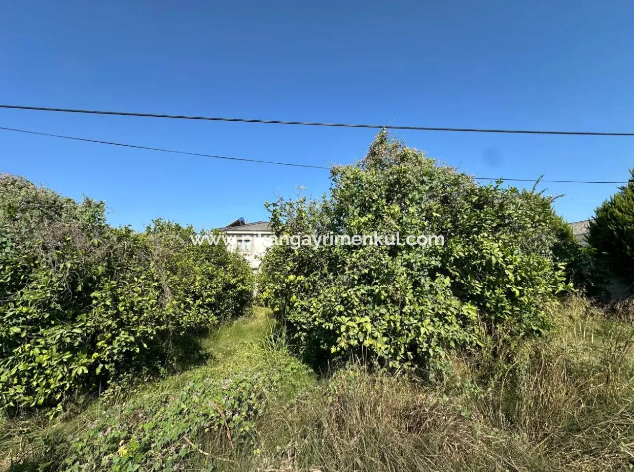 529 M2 Corner Parcel Land For Sale In Ortaca Fevziye