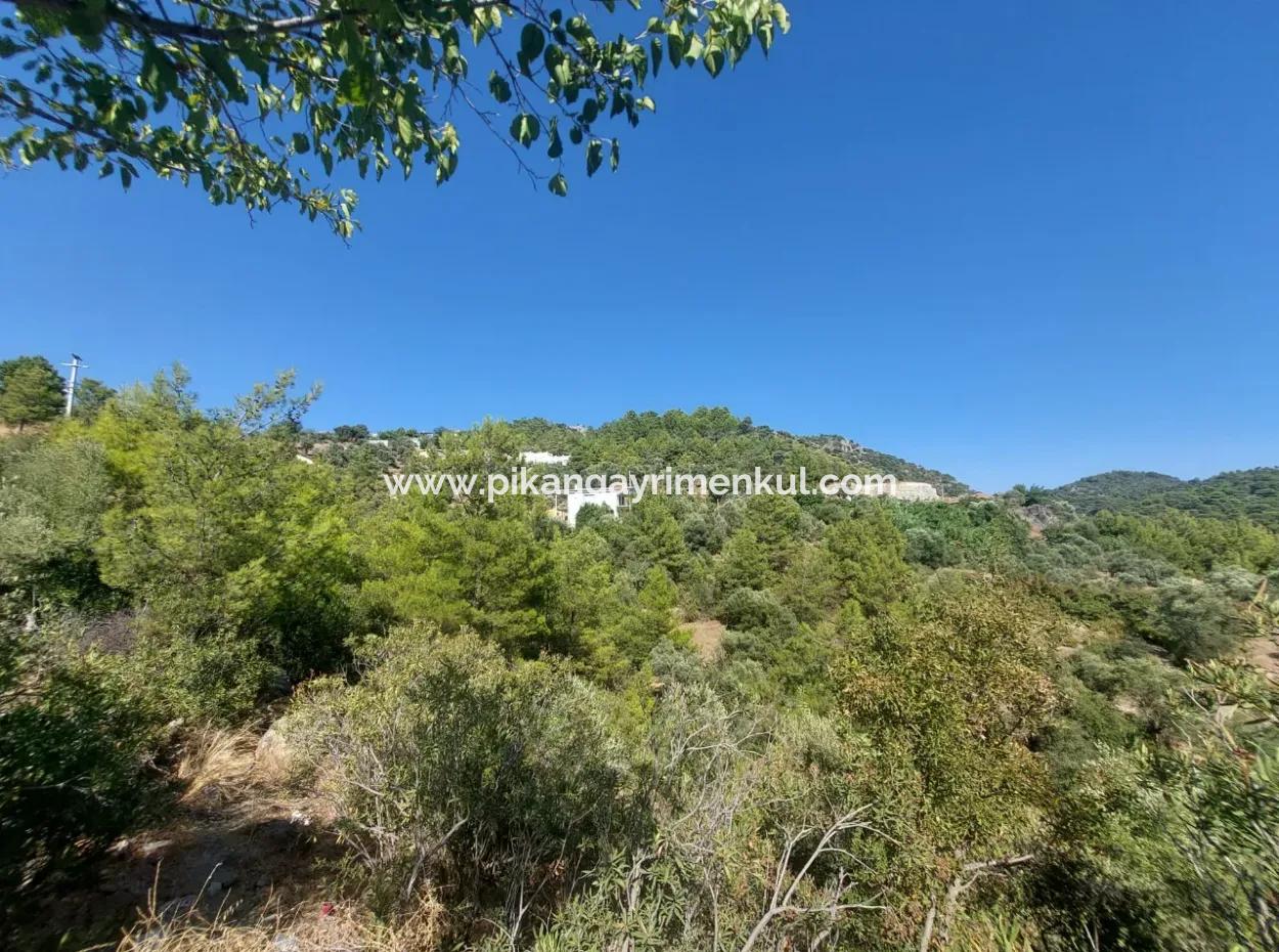 238 M2 Hobby Garden With Detached Title Deed For Sale In Ortaca Gökbel, Muğla
