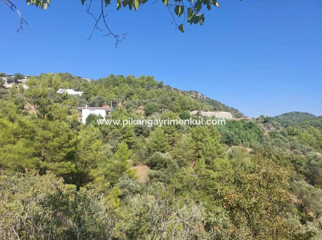 238 M2 Hobby Garden With Detached Title Deed For Sale In Ortaca Gökbel, Muğla