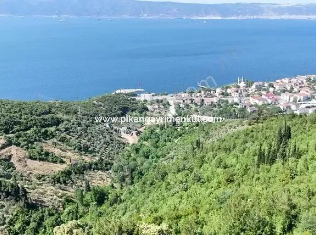 7.534 M² Sea View Investment Opportunity Detached Land For Sale In Kocaeli Ereğli