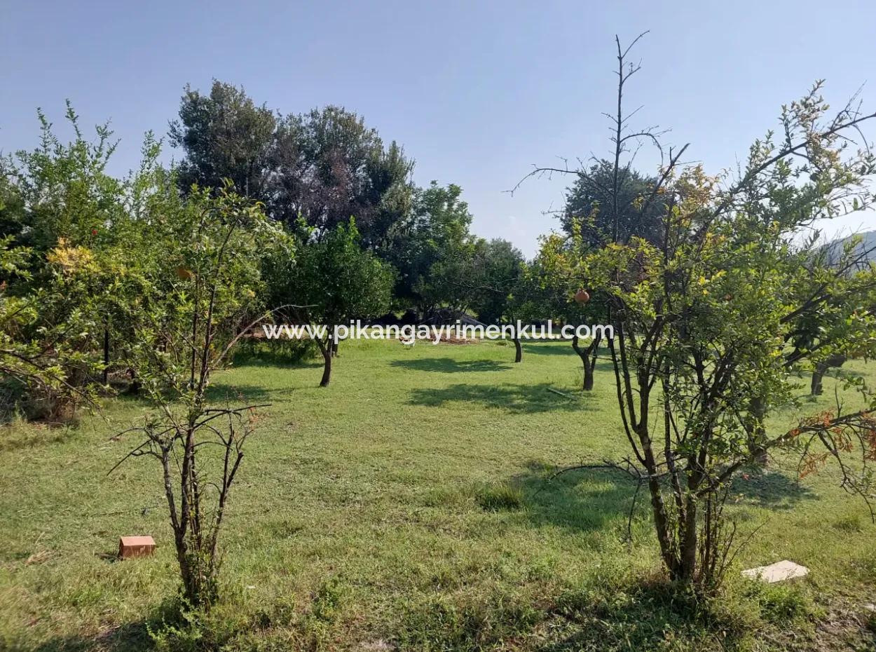 2.500 M² Detached Title Deed Investment Land For Sale In Ortaca Kemaliye