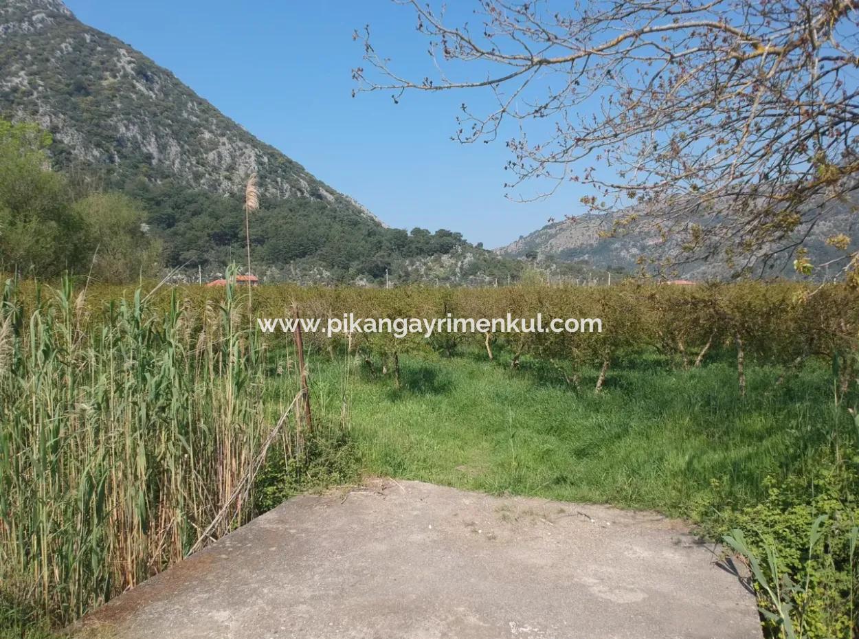 Ortaca Mergenlide 7989 M2 150 M2 Construction Permitted Pomegranate Field For Sale