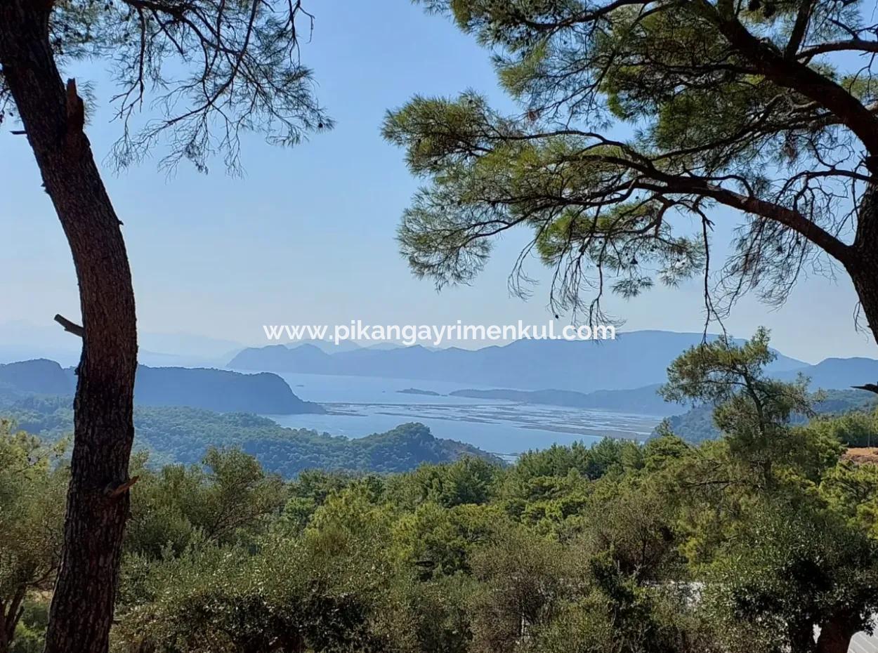 1.361 M² Investment Land With Lake And Sea View For Sale In Muğla Ortaca Gökbel