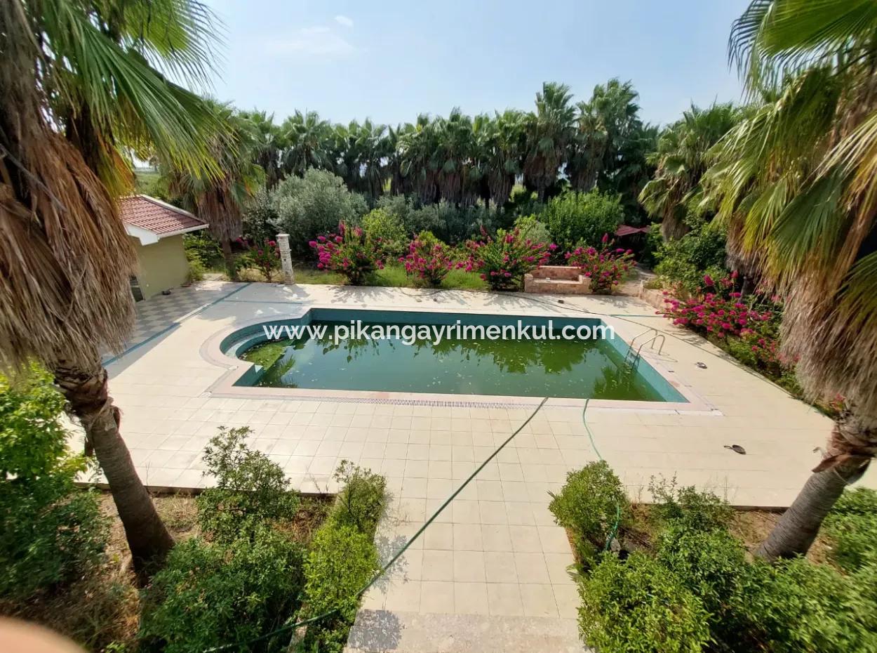 Houses On 3.500 M² Land Suitable For Tourism Investment In Muğla Dalyan For Sale