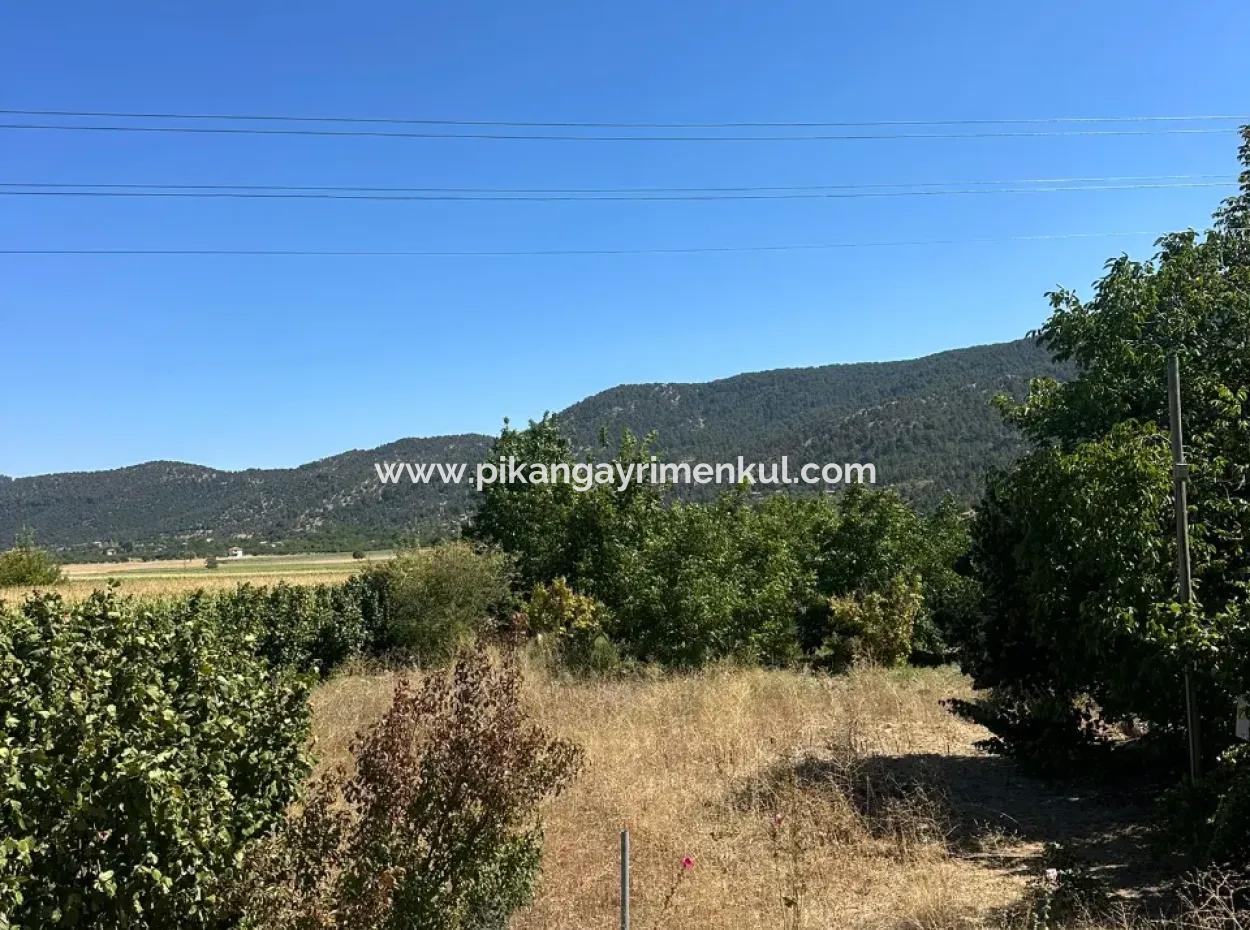 3070 M2 Walnut Orchard For Sale On The Side Of The Main Road In Denizli Çameli
