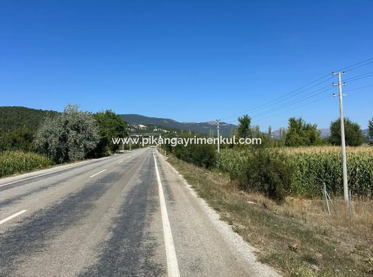 3070 M2 Walnut Orchard For Sale On The Side Of The Main Road In Denizli Çameli