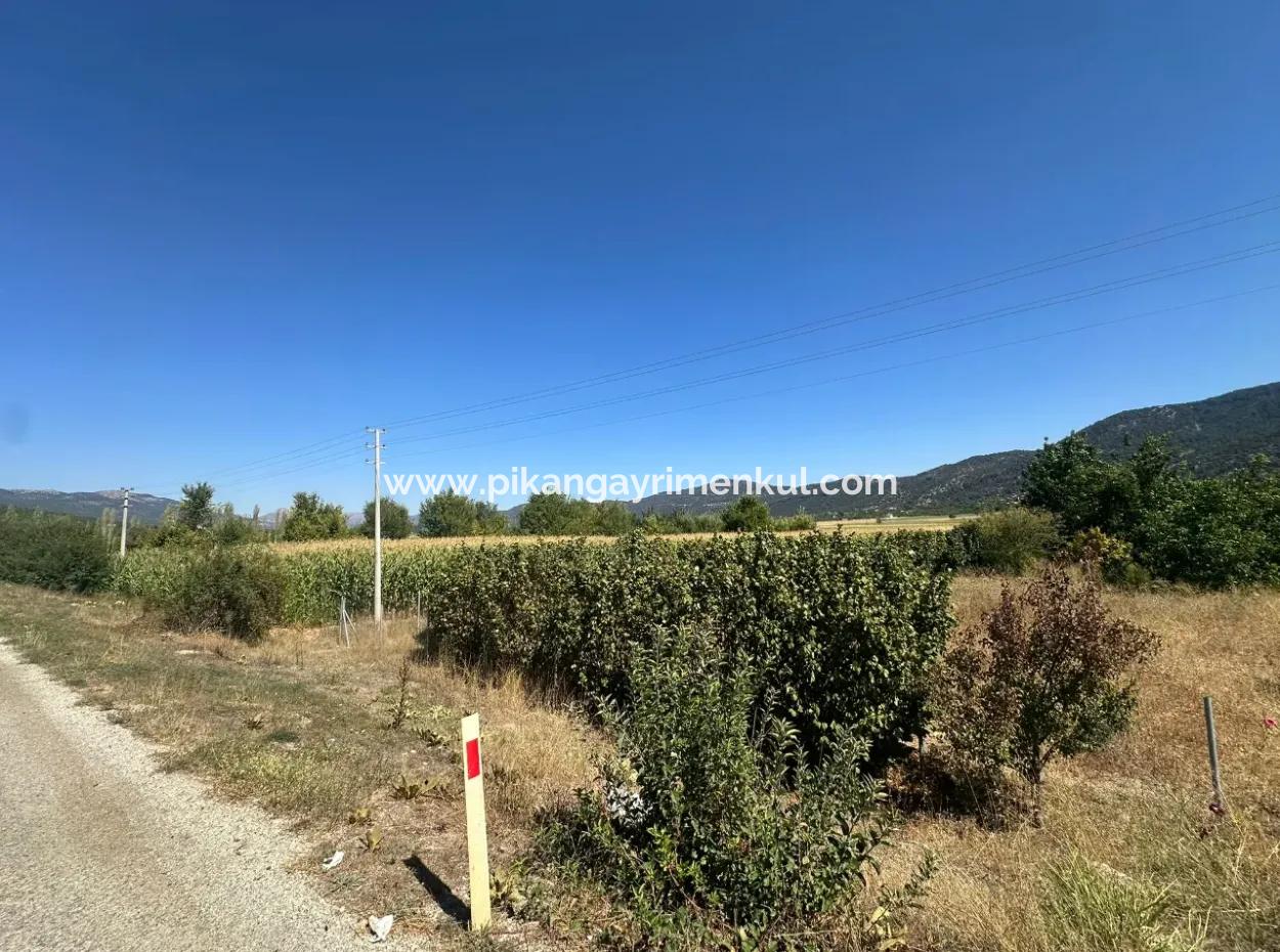 3070 M2 Walnut Orchard For Sale On The Side Of The Main Road In Denizli Çameli