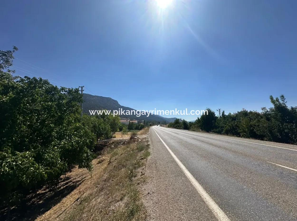 3070 M2 Walnut Orchard For Sale On The Side Of The Main Road In Denizli Çameli